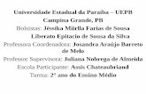 Universidade Estadual da Paraíba UEPB Campina Grande, PB ... · Assim, como afirma Lana de Sousa Cavalcanti: Quando se está atento ao que acontece nas grandes, médias e até pequenas