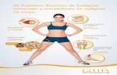 Os Peptídeos Bioativos de Colágeno estimulam o metabolismo do … · Músculos Células Musculares BODYBALANCE ... muito mais do que cálcio e o colágeno pode ser considerado um