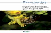 Formação de Minicolônias Melipona fasciculata Smith 1858 ...ainfo.cnptia.embrapa.br/digital/bitstream/item/119589/1/DOC-409.pdf · no uso econômico de abelhas-nativas para a agricultura.