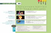 I fenomeni termici e le leggi dei gas - ivanococcorullo.it · 3 L’equilibrio termico unit ... Questo fenomeno, che prende nome di dilatazione termica, si riscontra in tutti i corpi,