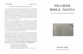 PILGRIM BIBLE NOTESggoj.org.uk/wp-content/uploads/pilgrim/Oct18print.pdf · Stuart Olyott – Dare to Stand Alone, published by Evangelical Press. Dale Ralph Davis – The Message