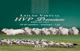LeiLão VirtuaL Premium - Cavalo Árabe - Histórico - HVP … · 2017-10-25 · Futuro Touro de Central. 50% HAVENNA FIV HVP Alarme EDTO x Bolívia FIV Amod 1 Nasc.: 30/09/2016 .