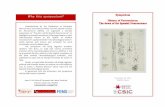 Why this symposium? - Bienvenidos al Instituto Cajal · 2018-08-14 · symposium on “The dawn of the Spanish Neuroscience”, to ... MUSEO NACIONAL DE CIENCIAS NATURALES-CSIC JUAN