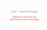 FLG 1254 - Pedologia aula 13 - geografia.fflch.usp.br · Análise Granulométrica • A análise de solo responsável por determinar a porcentagem de areia, silte e argila do solo.