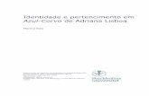 Identidade e pertencimento em - diva-portal.se848981/FULLTEXT01.pdf · identidade nacional na Literatura Brasileira – anteriormente enfatizada pelos românticos e pelos modernistas