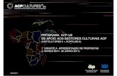 PROGRAMA ACP-UE DE APOIO AOS SECTORES CULTURAIS …eeas.europa.eu/archives/delegations/mozambique/documents/news/acp... · > Apoiar a criação e produção de bens e serviços culturais