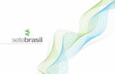 Criada para - SINAVALsinaval.org.br/wp-content/uploads/ReuniaoDiretoria2012_Sete.pdf · sentido de expandir seus contratos de afretamento com a Petrobras e outras empresas ... setor