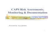 CAPS Risk Assessments, Monitoring & Documentation · 2 AGENDA Case Manager’s Role in Risk Management Continuous Risk Intervention Services Risk Process Monitoring Requirements CAPS
