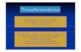 Trafo I (2011 - 01) [Modo de compatibilidad] · PDF fileElementos: Transformador trifásico de potencia con reléTransformador trifásico de potencia con relé Buchholz, termómetro