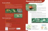 Fiche Phytoseiulus persimilis:Mise en page 1 - croppp.orgcroppp.org/IMG/pdf/Fiche_Phytoseiulus_persimilis_BAT4_cle824f2d.pdf · Stratégies - Préconisations Avant de procéder au