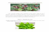 Glossário de ervas mais populares na cozinha polonesa Babuni - ziola nr 2.pdf · Glossário de ervas mais populares na cozinha polonesa blip.pl Não é necessário sublinhar como