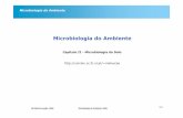 Microbiologia do Ambiente - bibliotecaonlineead.com.brbibliotecaonlineead.com.br/logsys/cursos/apostilas/microbiologia... · •As interacções planta fungo em condições naturais