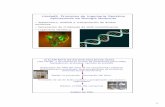 Unidad9. Principios de Ingeniería Genética Aplicaciones de ...depa.fquim.unam.mx/amyd/archivero/UNIDAD_9_2X_23621.pdf · Aplicaciones de Biología Molecular • Aislamiento, análisis
