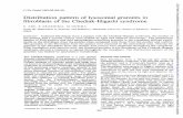 Distribution pattern in Chediak-Higashi · JC/in Pathol 1982;35:496-501 Distribution pattern oflysosomal granules in fibroblasts ofthe Chediak-Higashi syndrome K ABE, S ARASHIMA,