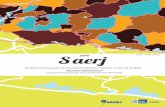 SAERJ2015 - SAERJ Avaliação Externa · em 2008, tem, com seus dois programas de avaliação – SAErJ e SAErJINHO, possibi- litado aos gestores públicos da educação fl uminense