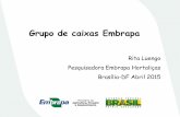 Grupo de caixas Embrapa - agricultura.gov.br · -reduz de perdas pós-colheita -caixa limpa = sem transmissão de doenças de solo ... operador e maior rendimento na colheita . Obrigada
