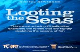 Looting the Seas - Amazon S3 · Data Analysis: Milagros Salazar and Miguel López Chauca Web: ... Looting the Seas ... Ponte, one of the bluefin ...