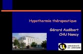Hypothermie thérapeutique Gérard Audibert CHU Nancy · Hypoxie néonatale Edwards AD, BMJ 2010 . Effets de l’hypothermie sur le décès et le handicap (3 études, 767 nouveaux-nés)