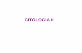 CITOLOGIA II - cursodac.com.br · CITOLOGIA II . CITOPLASMA, CITOSOL E HIALOPLASMA Formam o Citoesqueleto: Movimento, forma celular e transporte de orgânulos e substâncias dentro
