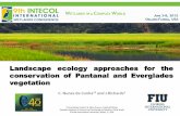 Landscape ecology approaches for the conservation of ... C... · Landscape ecology approaches for the conservation of Pantanal and Everglades vegetation C. Nunes da Cunha12 and J.Richards3