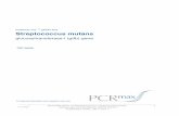 Streptococcus mutans - .glucosyltransferase-I (gtfb) gene Streptococcus mutans PCRmax Ltd qPCR testTM