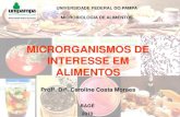 MICRORGANISMOS DE INTERESSE EM · PDF filemicrobiologia de alimentos. Metabolismos dos microrganismos de interesse na tecnologia de alimentos. Fungos e leveduras. Bactérias lácticas,