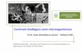 Controle biol³gico com microrganismos - .Laborat³rio de Patologia e ... Pragas com Microrganismos