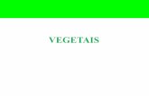 introdução a botânica - editoraopirus.com.br · • Não possuem vasos condutores de seiva. ... São as únicas plantas avasculares, ou seja, sem tecidos condutores de seivas (xilema