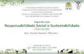 Segunda aula Responsabilidade Social e Sustentabilidadenemac.ufsc.br/files/2012/12/2-RSS-Aula-02.pdf · Segunda aula Responsabilidade ... estudo de caso na cadeia produtiva de arroz