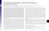 Structures of receptor complexes formed by hemagglutinins ... · Structures of receptor complexes formed by hemagglutinins from the ... twentieth century in ... refined by automated