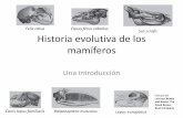 Historia evolutiva mamiferos - aragosaurus.com 09 pavyh Mm... · Historia evolutiva de los mamíferos Una introducción Felis catus Equus ferus caballus ... son los vertebrados más
