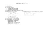 EXCRETION RENALE - coria.fr .c. r©absorption du potassium d. r©absorption du calcium. INTRODUCTION
