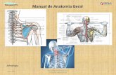Manual de Anatomia Geral - massagempro.com · Módulo de Artrologia da Anatomia Básica Objectivos do Módulo de Artrologia No final deste módulo, ... Guia dos Movimentos de Musculação