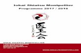 Iokaï Shiatsu Montpellier - iokaishiatsufrance.frˆ-MPL... · FORMATION Cursus Iokaï Shiatsu Le Iokaï Shiatsu est une méthode manuelle, douce et naturelle pour soulager les tensions,