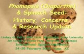Phomopsis (Diaporthe) & Spinach Seed: History, Concerns ... · an exotic fungal disease that can cause germination loss and seed decay… the APS paper … does make note of D. viticola;