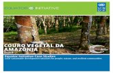 COURO VEGETAL DA AMAZ”NIA - Equator Initiative .Equator Initiative Case Studies Local sustainable