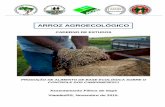 ARROZ AGROECOLÓGICO - Incra · adequadas o cultivo do arroz agroecológico se faz possível. ... A mão do Homem formou o próprio Homem e sua evolução. O trabalho, ...