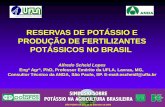 RESERVAS DE POTÁSSIO E PRODUÇÃO DE FERTILIZANTES ...brasil.ipni.net/ipniweb/region/brasil.nsf... · 3000 4000 5000 6000 Produção nacional ... um dispêndio de divisas total para