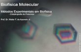 Biofísica Molecular - azevedolab.net · Bioquímica estrutura l Bioquímica metabólica Biologia celular Biologia tecidua l Morfofisiologia anima l Zoologia 2 . 1. Cristalização.