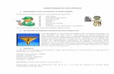 MANUTENÇÃO D E SITES RÍTICOS - engepower.com · ‐ Equipamento para ensaio de transformadores de força, potencial e de ... ‐ Equipamentos para ensaios de disjuntores de baixa,
