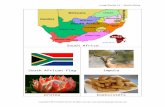 South Africa - Speech-Language Therapyspeech-language- .2015-06-10  South Africa South African