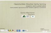 Opportunities: Brazilian family farming organic and ... · Opportunities: Brazilian family farming organic and sustainable ... Falando alemão, ... folclore ligados agricultura: Gemüsefest,