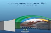 RELATÓRIO DE GESTÃO - PHPfileNavigator · 1.2 Principais Clientes e Usuários ... - Amazonas Energia, Telemar Norte/Leste e Valecard; ... CADASTRO GERENCIA DE CONTROLE E