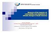 Measure of the impacts of, vulnerability and adaptation to ...unstats.un.org/unsd/climate_change/docs/presentations/CC... · marengo@cptec.inpe.br Measure of the impacts of, vulnerability
