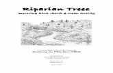 Riparian Trees - White River Partnershipwhiteriverpartnership.org/.../2014/01/MWR-Riparian-Trees-Module.pdf · Riparian Trees Improving River ... VV partners with local non-profit