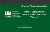 Grandes Obras na Amazônia Tema 5: Ordenamento Territorial ...mediadrawer.gvces.com.br/grandes-obras/original/ppt_ordenamento... · Indo além de zoneamentos ecológico: ... Fundamentos
