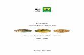 FACT-SHEET Cana-de-Açúcar, Milho e Soja Programa ... · 2 – agronegÓcio no brasil De acordo com o Relatório da CNA –“Agropecuária Brasileira – Balanço e Perspectivas