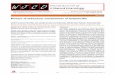 Review of anticancer mechanisms of isoquercitin - Microsoft · Guilherme di Camillo Orfali, Ana Carolina Duarte, Vivien Bonadio, Natalia Peres Martinez, Maria Elisa Melo Branco de