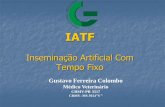 IATF - araucariageneticabovina.com.br · IATF Inseminação Artificial Com Tempo Fixo Gustavo Ferreira Colombo Médico Veterinário CRMV-PR 3517 CRMV–MS 3024”S ”