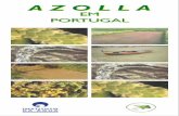 AZOLLA - ib.usp.br em Portugal.pdf · fase incial, reacções de receio, de algum alarmismo e simultaneamente de curiosidade por parte da população, quer a nível local quer nacional.